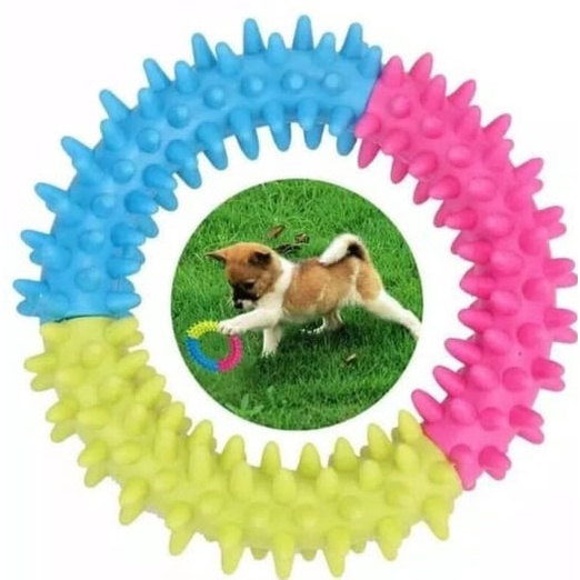 Rubber Bite Dog Toy/Rainbow Bone Dog Toy