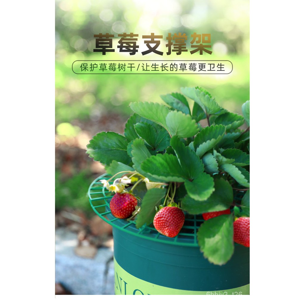 Gardening Bracket 草莓支架阳台盆栽庭院种植果实爬藤支撑架神器种菜托盘园艺花支架 Shopee Malaysia