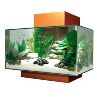 Basque burnt cheesecake  Shopee Malaysia