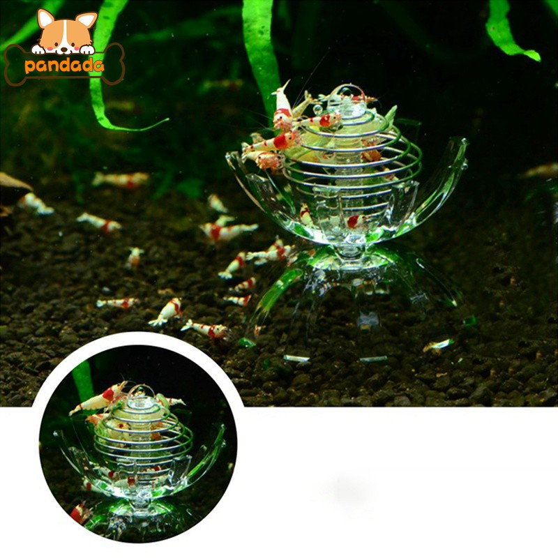 Multifunction Stainless Steel Basket Ornamental Shrimp Fish Tank