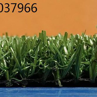 rumput karpet tiruan rumput karpet grass carpet Rumput karpet 