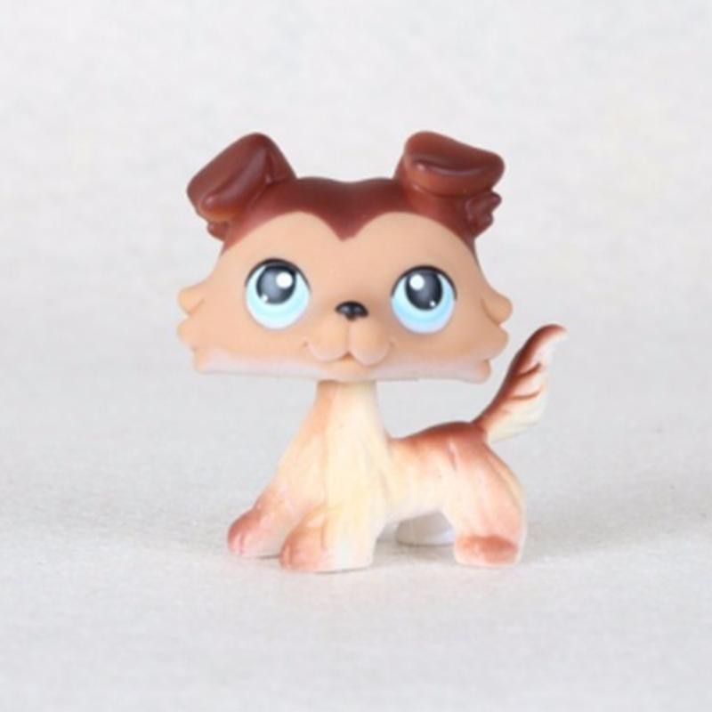 #58 RareLittlest Pet Shop Brown Collie Dog Puppy Blue Eyes LPS Animal Toy 
