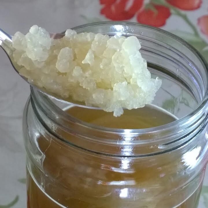 Water Kefir Grains 4 Tablespoons Save Money Reuse Grain Maintain Quality Pm Chat With Seller Before Ordering Thanks Shopee Malaysia