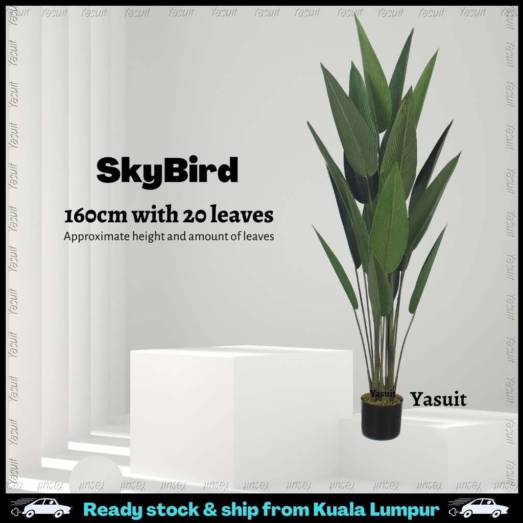 Pokok Viral Artificial Plant Skybird Fiddle Fig Olive Sky Bird Tree
