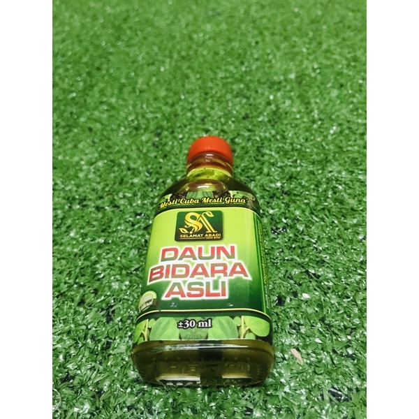 Original Daun Bidara Asli Sapu Shopee Malaysia