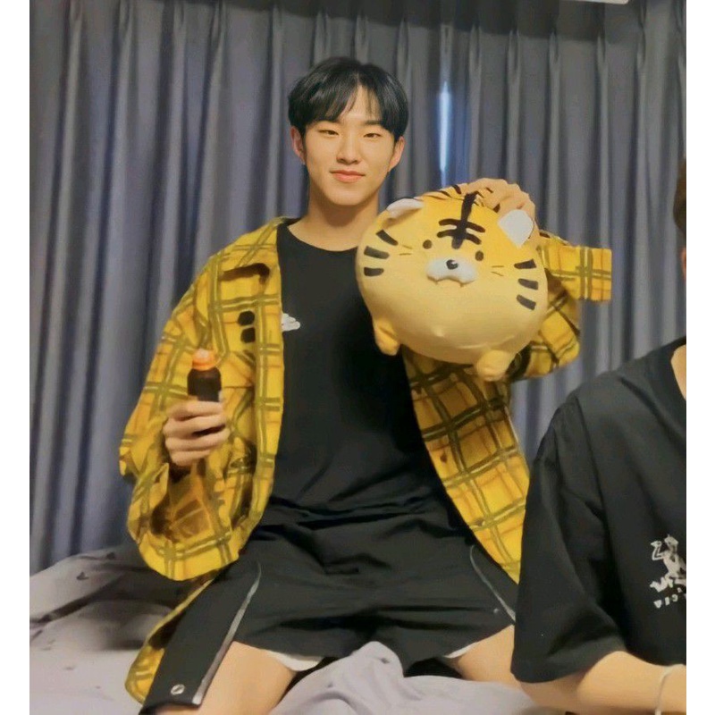 Seventeen Hoshi Same Plush Cute Tiger Doll Stuffed Fluffy Tiger Plush Toy Soft Animal Plushie Pillow for Kids Birthday Gift