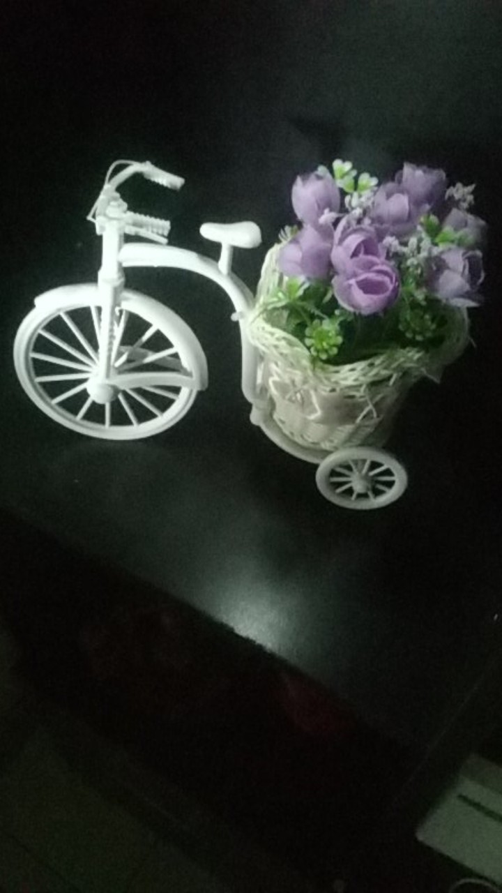 Decor Hiasan Basikal Dan Stroller Flower Pot 17x27x13cm 1pc Shopee Malaysia