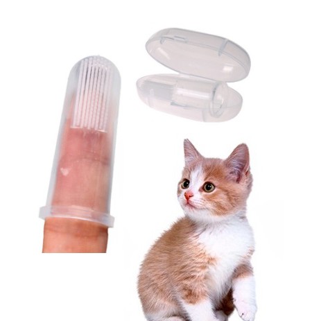 Cat Toothbrush Berus Gigi Kucing Shopee Malaysia