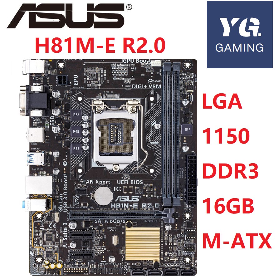 Kukurice Byliny Pes Asus H81me Gilsnorthwoodcollision Net