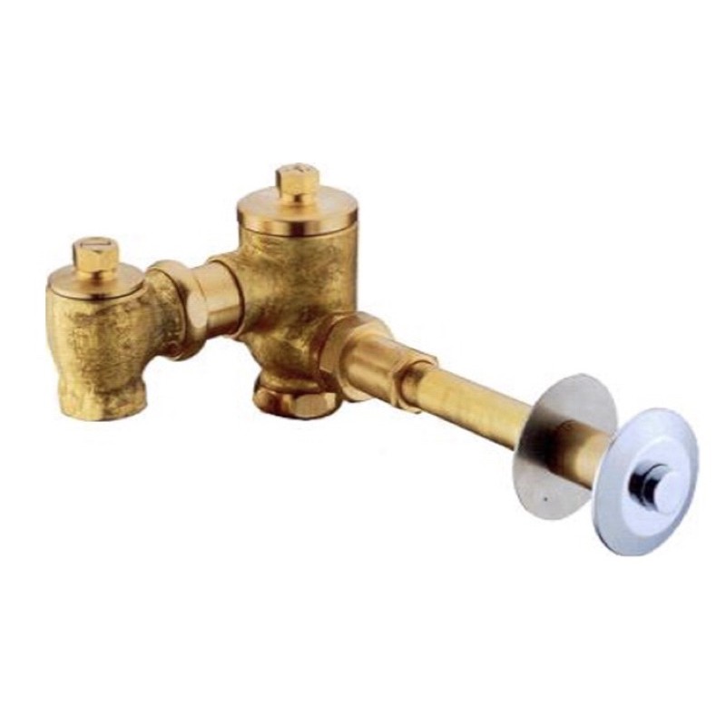 Through-wall Concealed Wc Flush Valve 