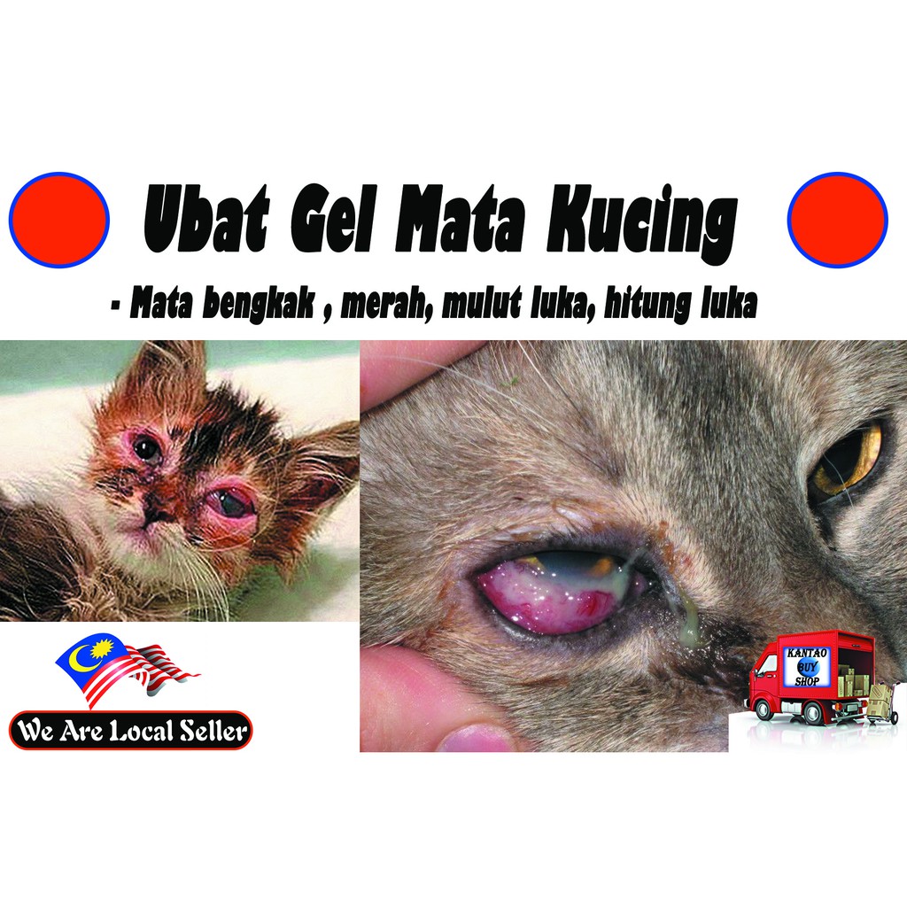 Buy Cat EYE GEL Oinetment - Penyelamat Sakit Mata Kucing 5G 