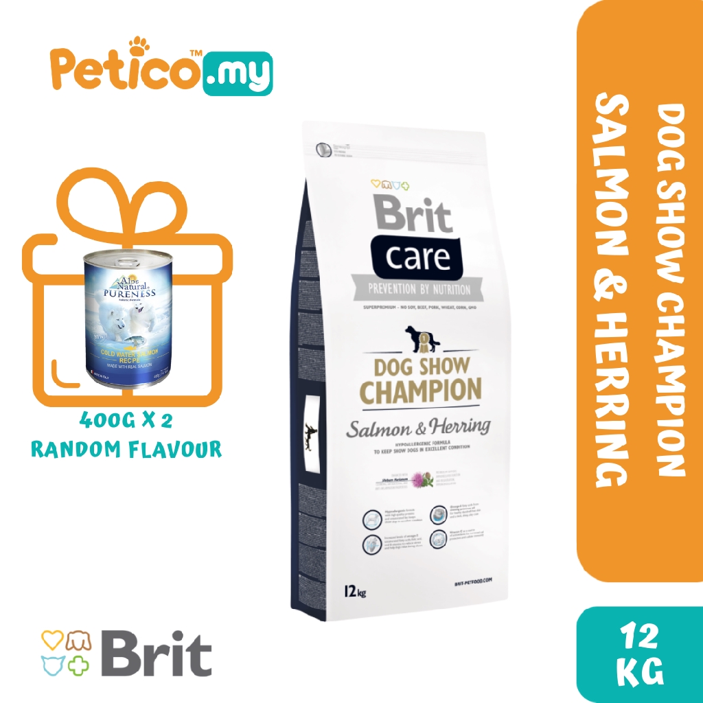 brit care show champion