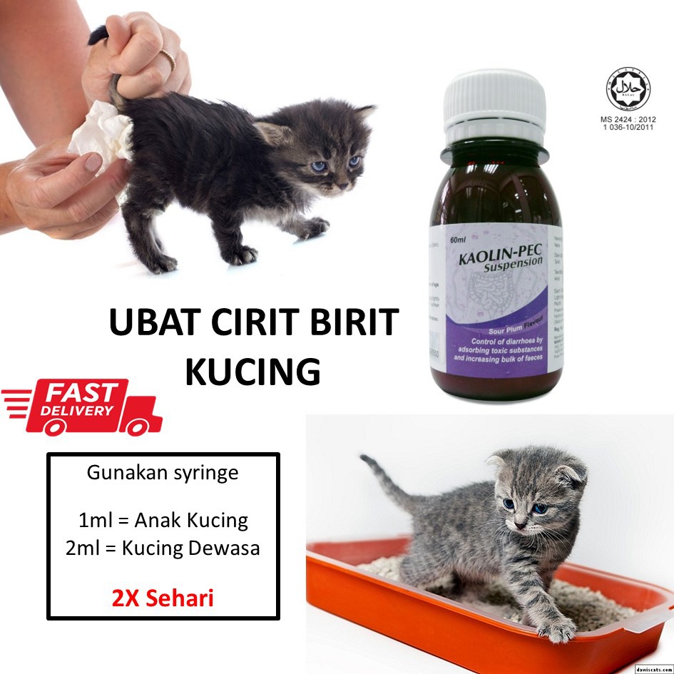 Prefered Ubat Cirit Birit Kucing 60ml Shopee Malaysia