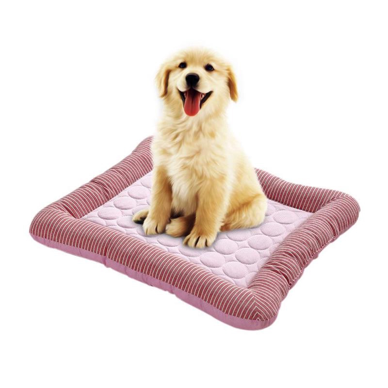 how to clean a non washable dog bed