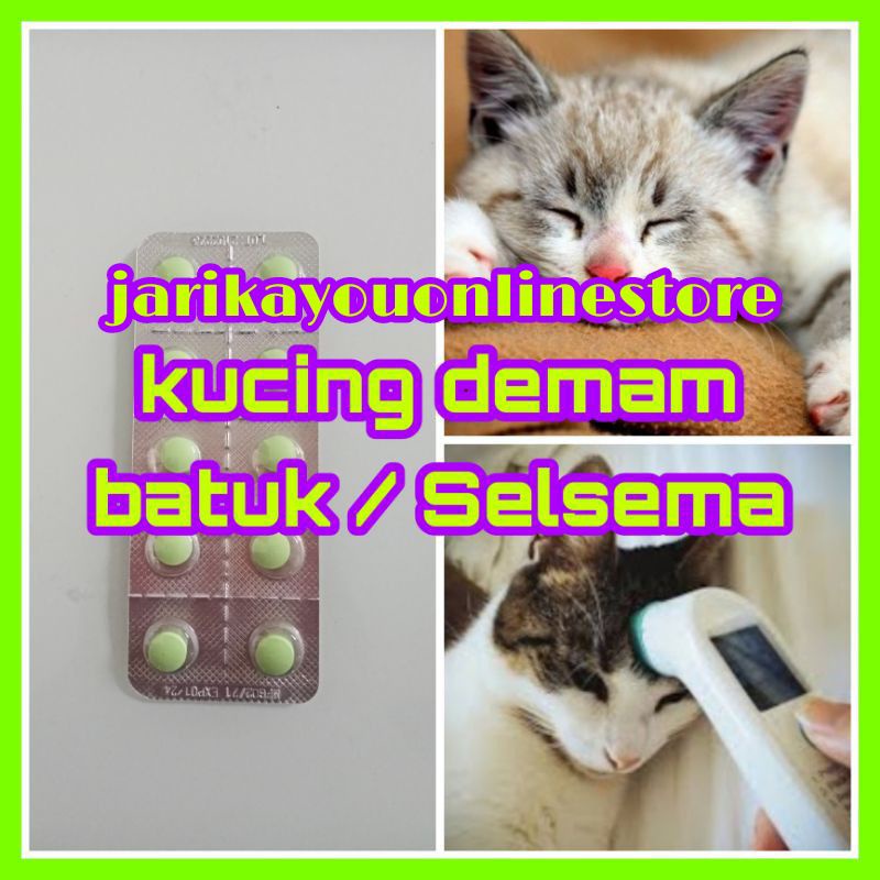 10 BIJI : Ready Stock! Ubat Demam kucing /Ubat Batuk kucing/ubat 