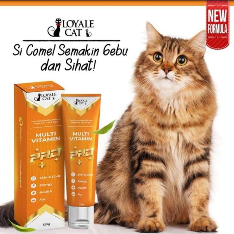Vitamin kucing gemuk Loyale Cat vitamin Multivitamin kucing Growth