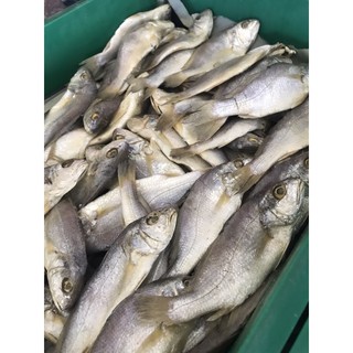 IKAN KERING ORI KELANTAN | IKAN MASIN | Shopee Malaysia