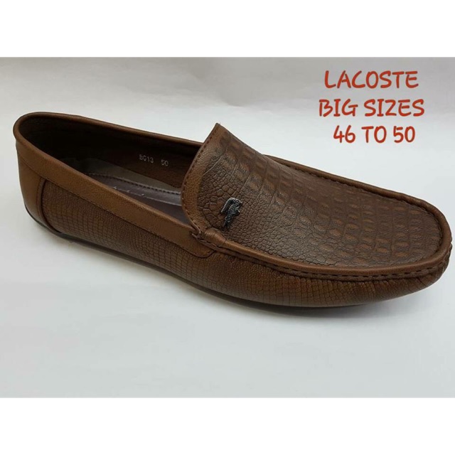 lacoste size 50