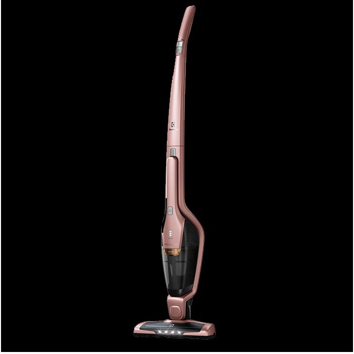 2 In 1 Allergy Ergorapido Cordless Stick Vacuum Cleaner Titan Blue Electrolux Malaysia