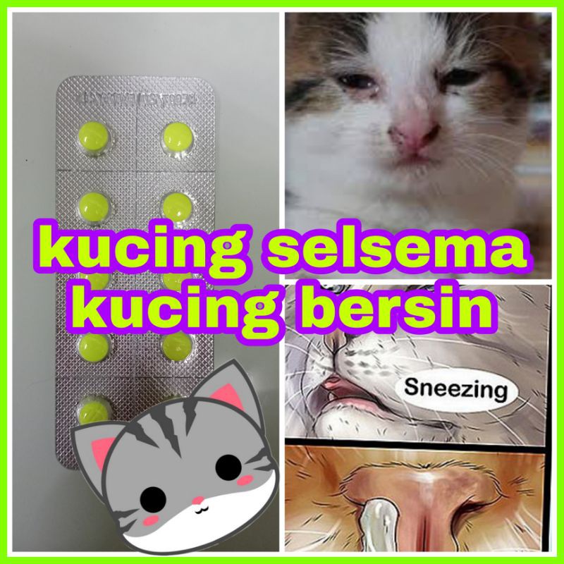 10 Biji Ready Stock Ubat Selsema Kucing Merawat Bersin Kucing Shopee Malaysia