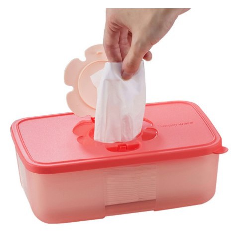 Tupperware Tissue Box