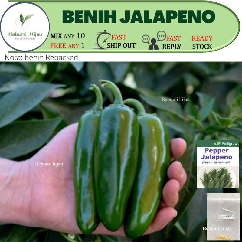 10 Biji Benih Lada Jalapeno Chili Seeds Shopee Malaysia