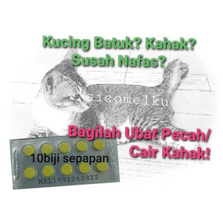 Ubat Merawat Bengkak / Ulser / Radang / Bisul / Kencing Berdarah 