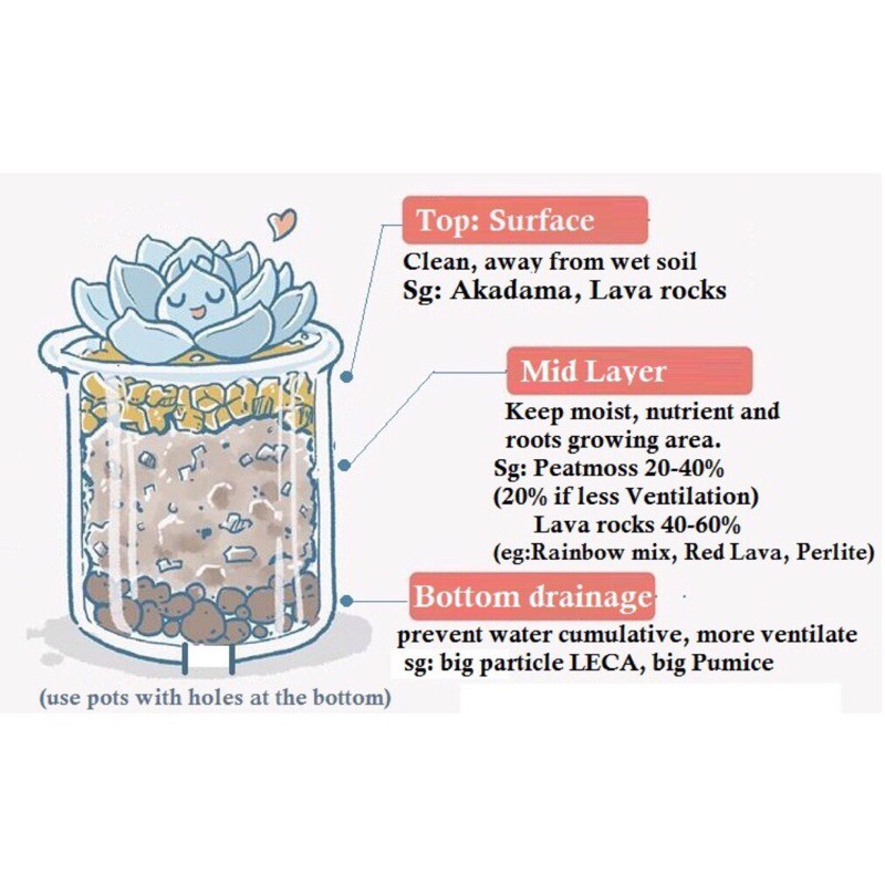 Akadama 赤玉土 400g Pack Succulent Cactus