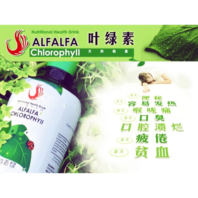 凤凰营养 Alfalfa Chlorophyll 紫花苜蓿叶绿素 Shopee Malaysia