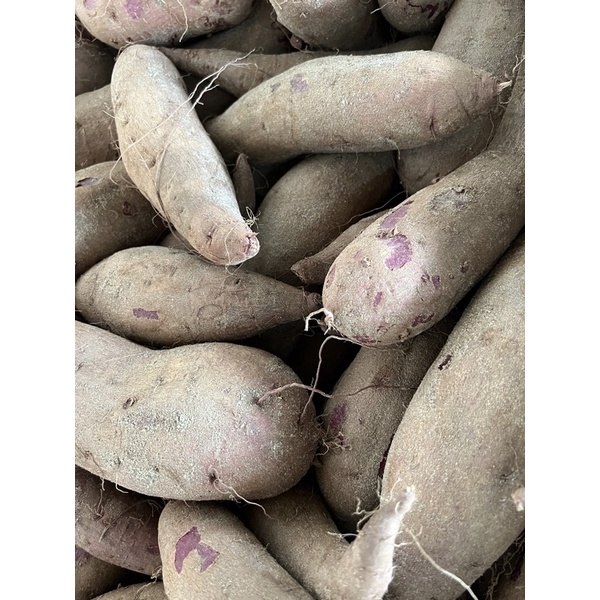 Ubi Ungu/紫番薯/Purple Sweet Potato 1kg +/-