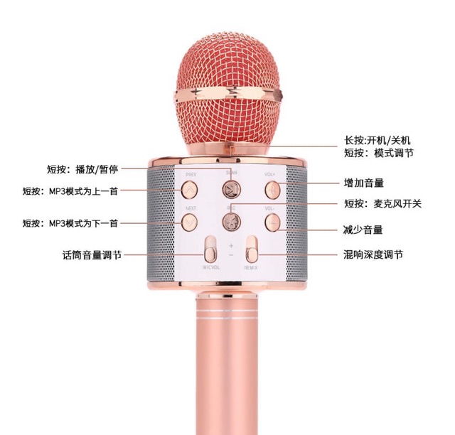 wifi speaker microphone