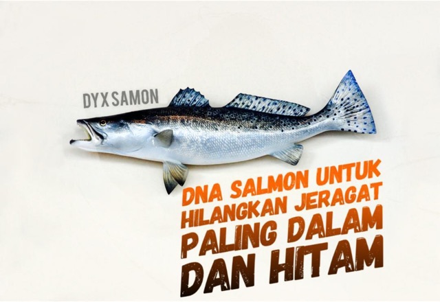 Dyx Dna Salmon Serum Shopee Malaysia