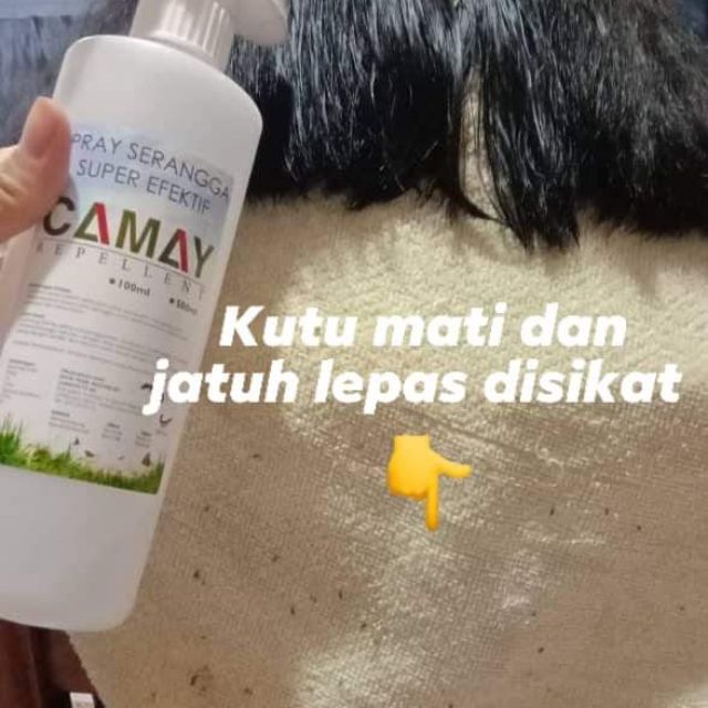 ▷ Ubat Kutu Kucing Paling Mujarab