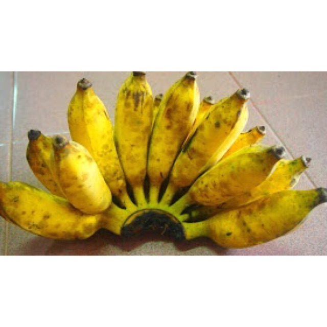 Pisang awak