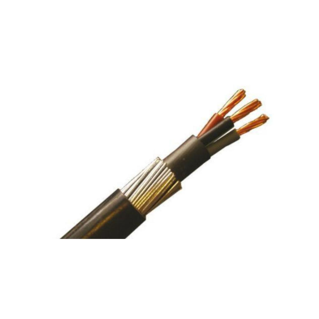 Loose Cut 2 5mm X 2c 3c Armoured Cable Underground Cable 100 Pure Copper Shopee Malaysia