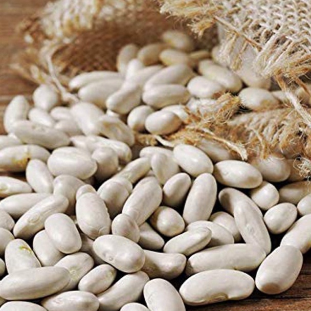 White Kidney Beans, Kacang Putih 500g 1 Kg Shopee Malaysia