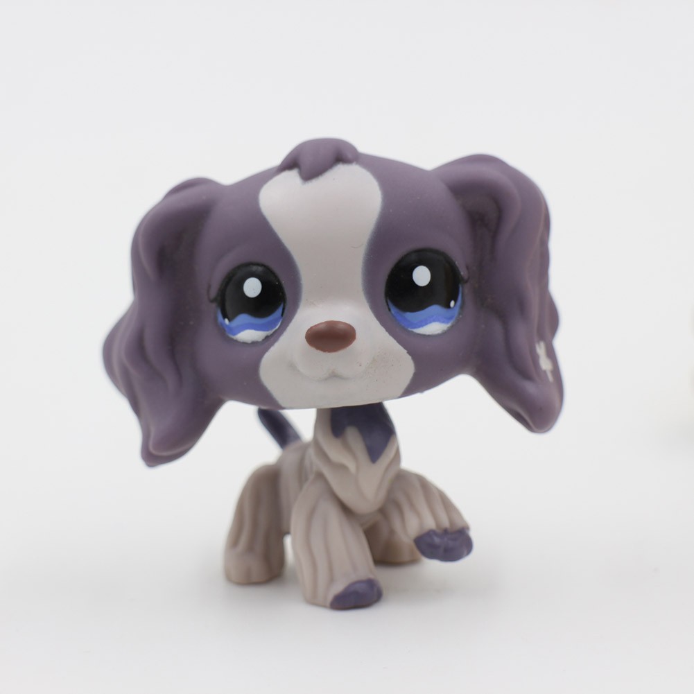 lps purple dog