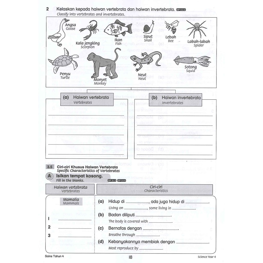 sains tingkatan 2 bab 3  ciri khusus haiwan vertebrata