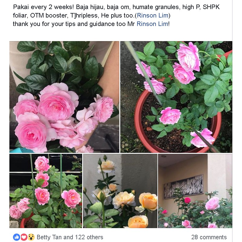 Baja High P ( Heavy Flowering Fertilizer) - 2kg [ 𝐁𝐔𝐘 𝟐 𝐟𝐨𝐫 
