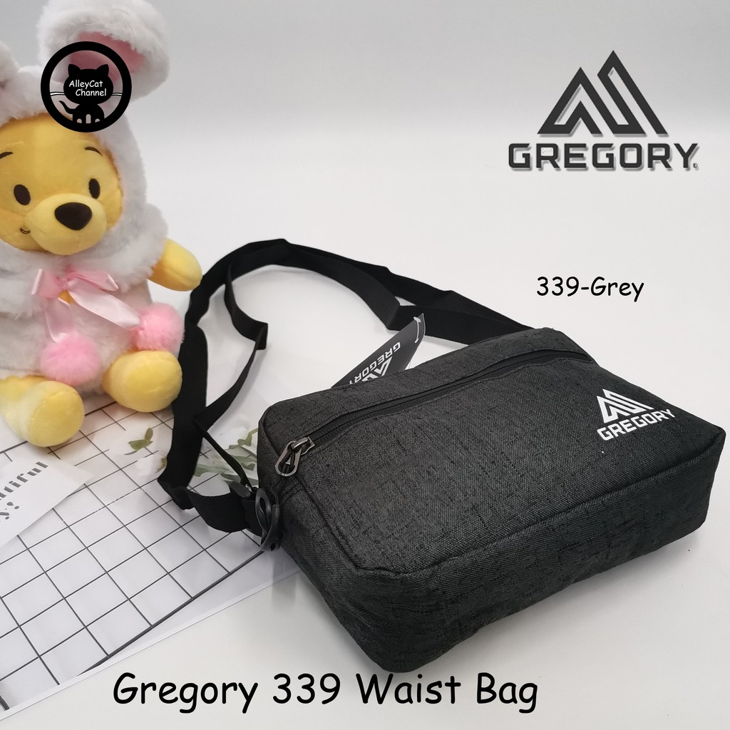 gregory bear bag