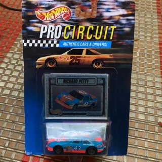 hot wheels pro circuit richard petty
