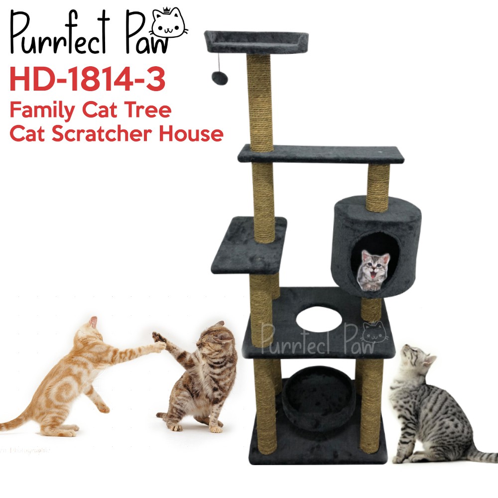cat scratcher shopee
