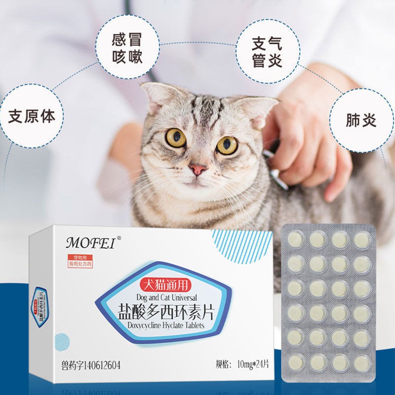 Kucing Ubat Dingin Pet Tablet Anti-radang Batuk Jangkitan Sa猫咪 