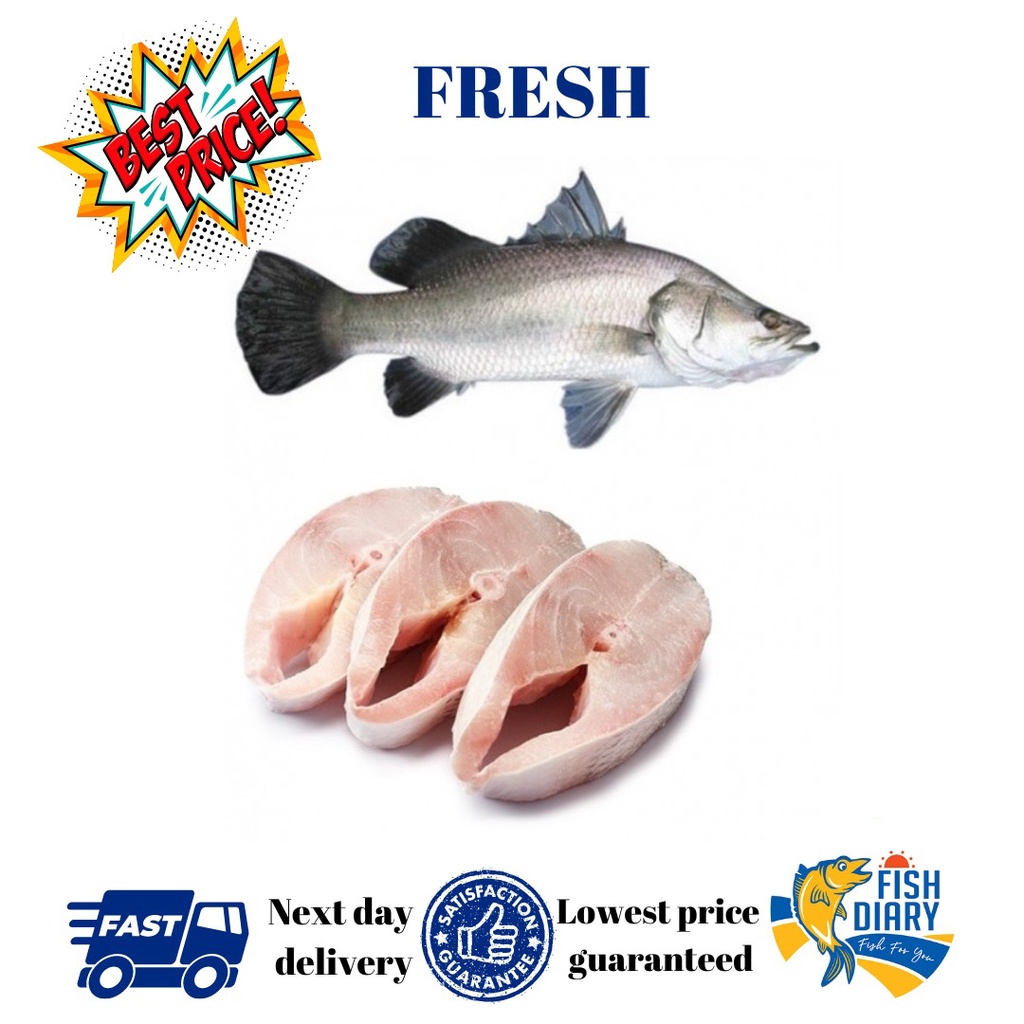 【Penang area only】🔥FRESH🔥 PREMIUM  Barramundi Block (Siakap) 150g to 250g (FREE DELIVERY for purchase RM120+)