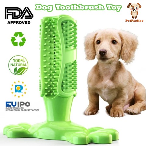 dog toothbrush toy