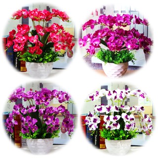 Artificial Flower Orchid Bunga  Orkid Hiasan  Viral  Shopee 