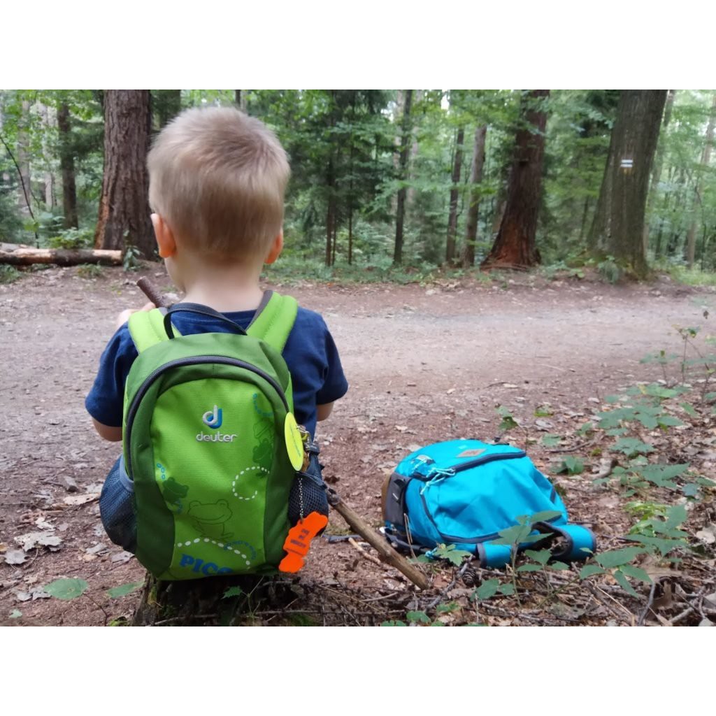 deuter pico backpack