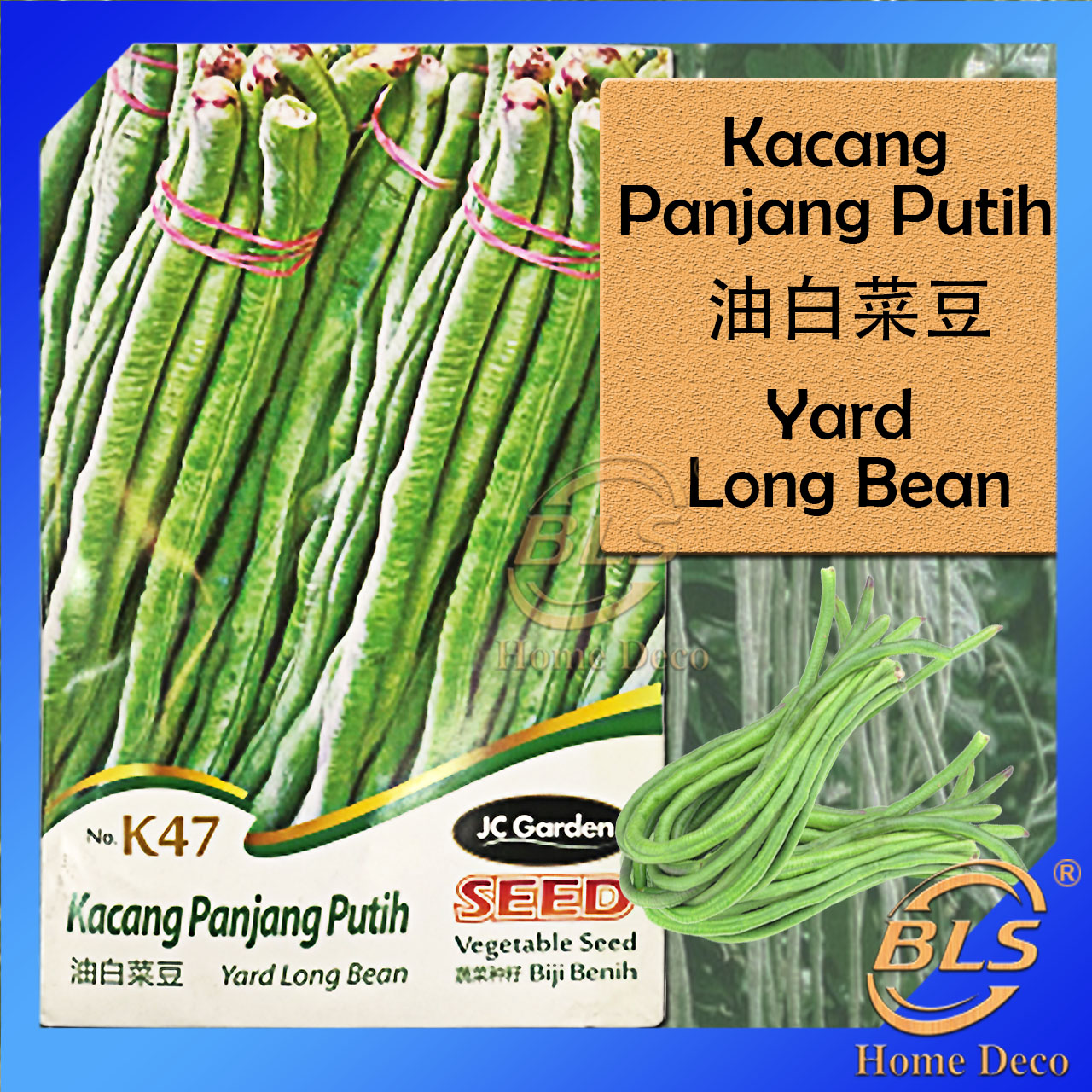 K47 Yard Long Bean Jc Garden Vegetable Seed Biji Benih Kacang Panjang Putih 油白菜豆种子 Shopee Malaysia