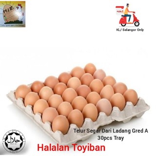 Telur Ayam Gred A Grade A Chicken Egg 10 Biji Shopee Malaysia