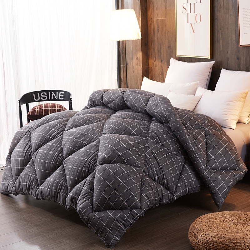Quilt Winter Quilt Thickened Warm Space Student Dormitory Single